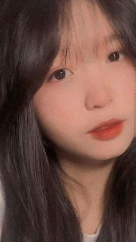 蘭花草高清電影版