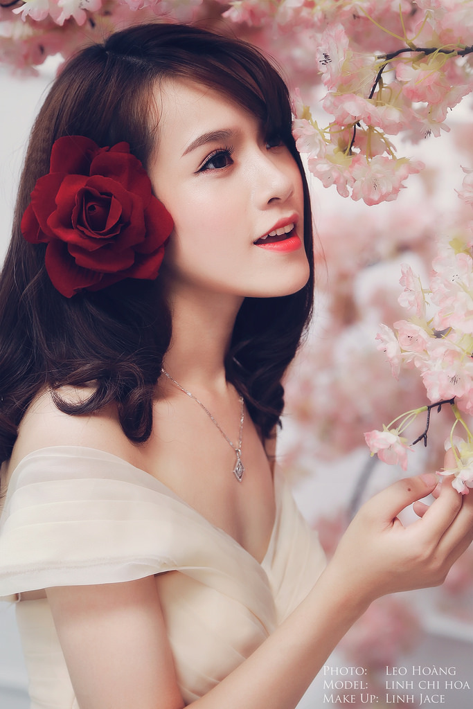 chinesefree國語對(duì)白
