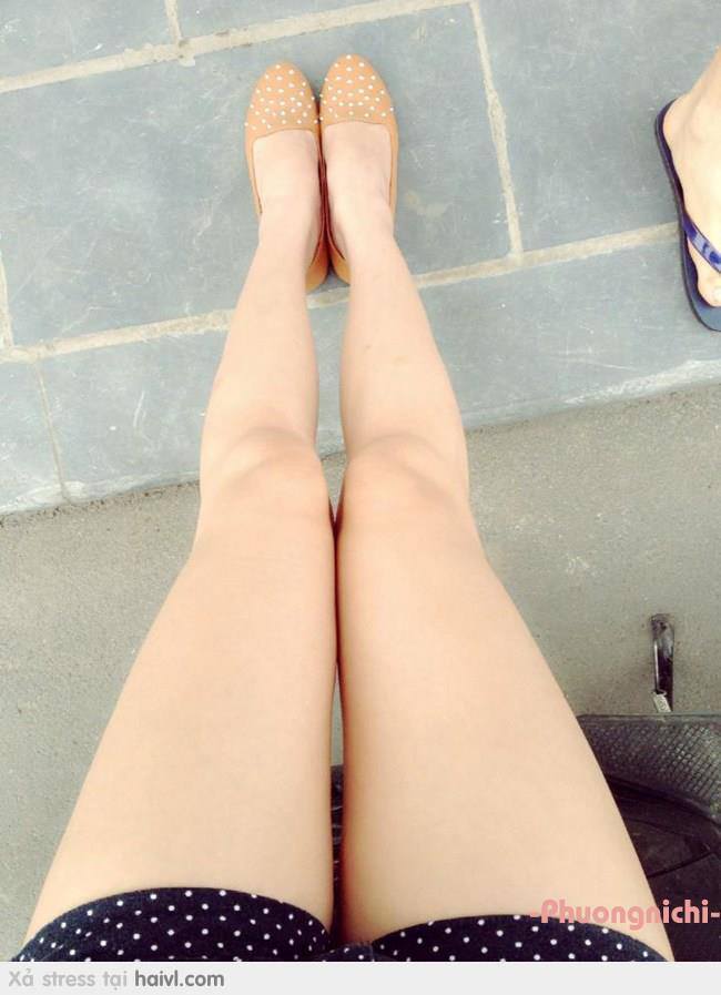 蓬萊仙山之夏日玫瑰
