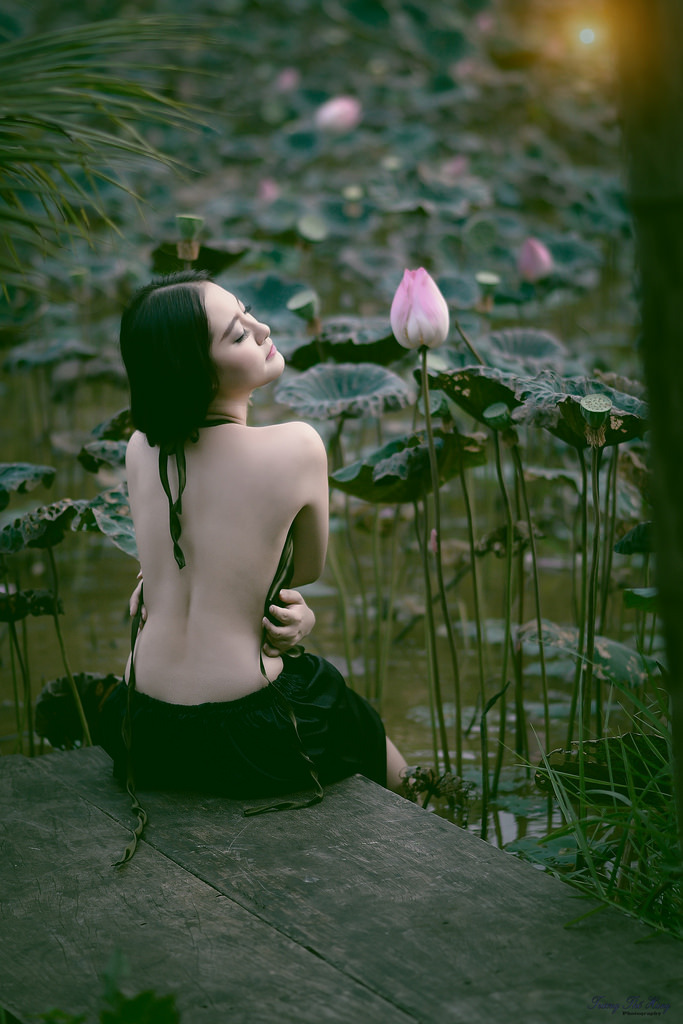 明星倫理片