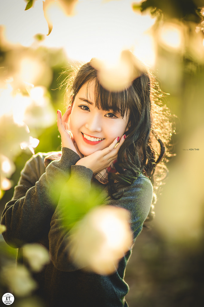 歡樂頌第四部