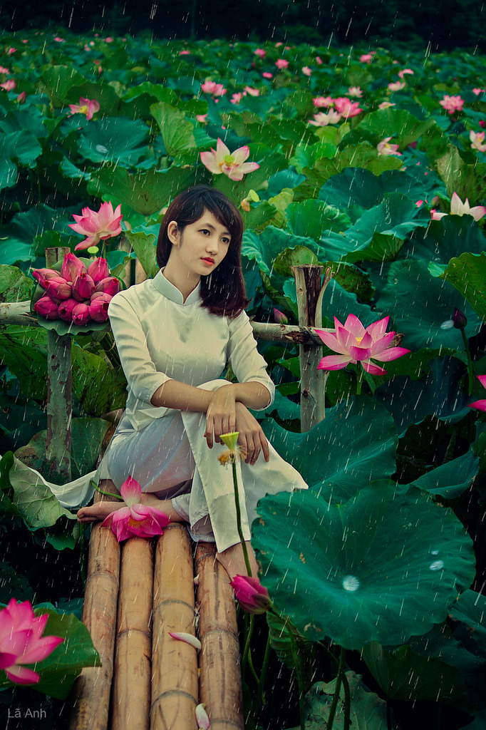 美麗鄰居