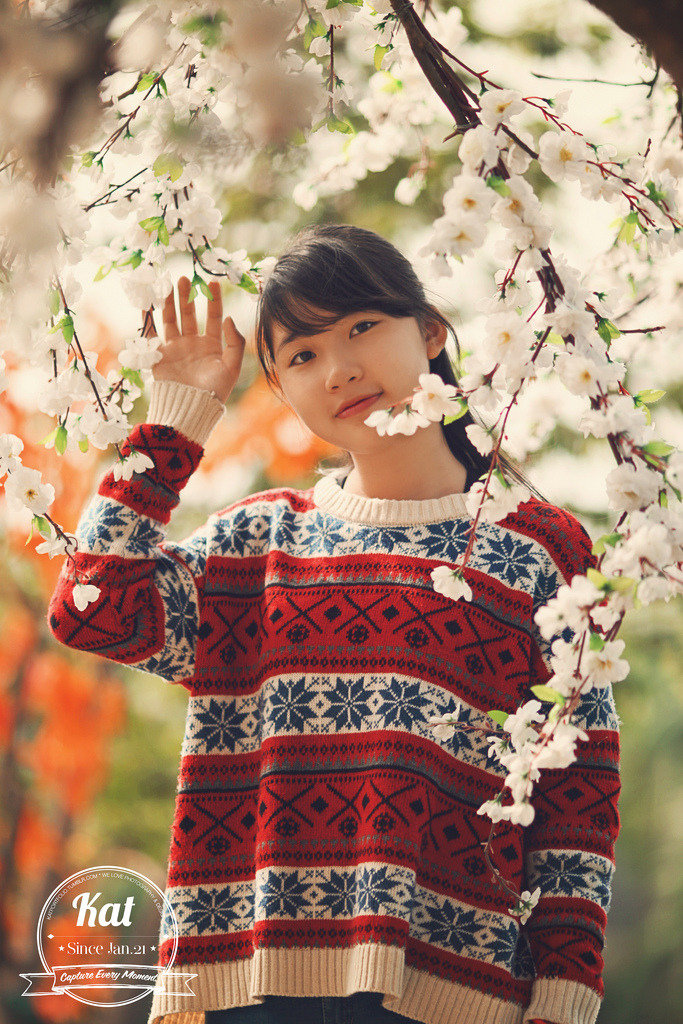 美麗的家