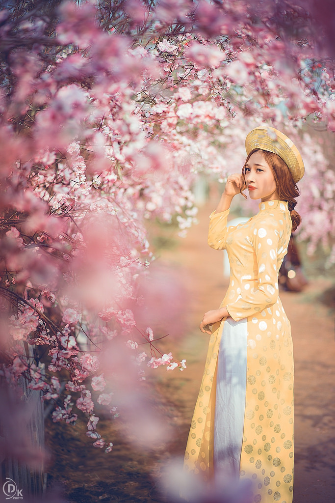 薔薇風(fēng)暴高清免費(fèi)版下載