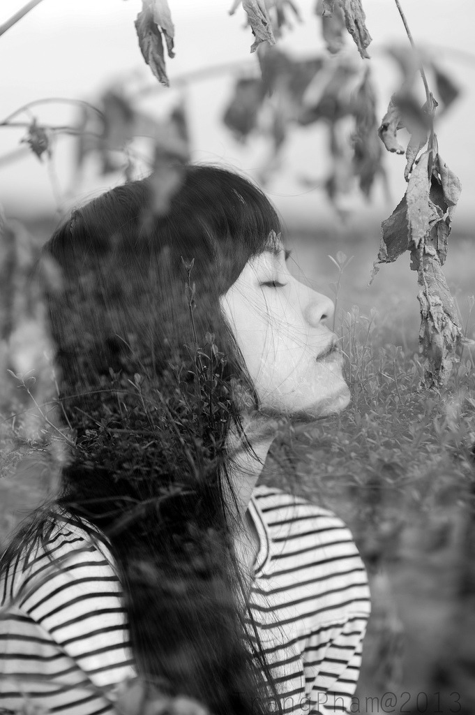 野花韓國日本高清免費(fèi)大全