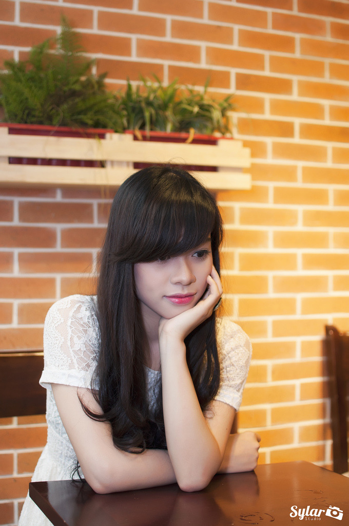 春案